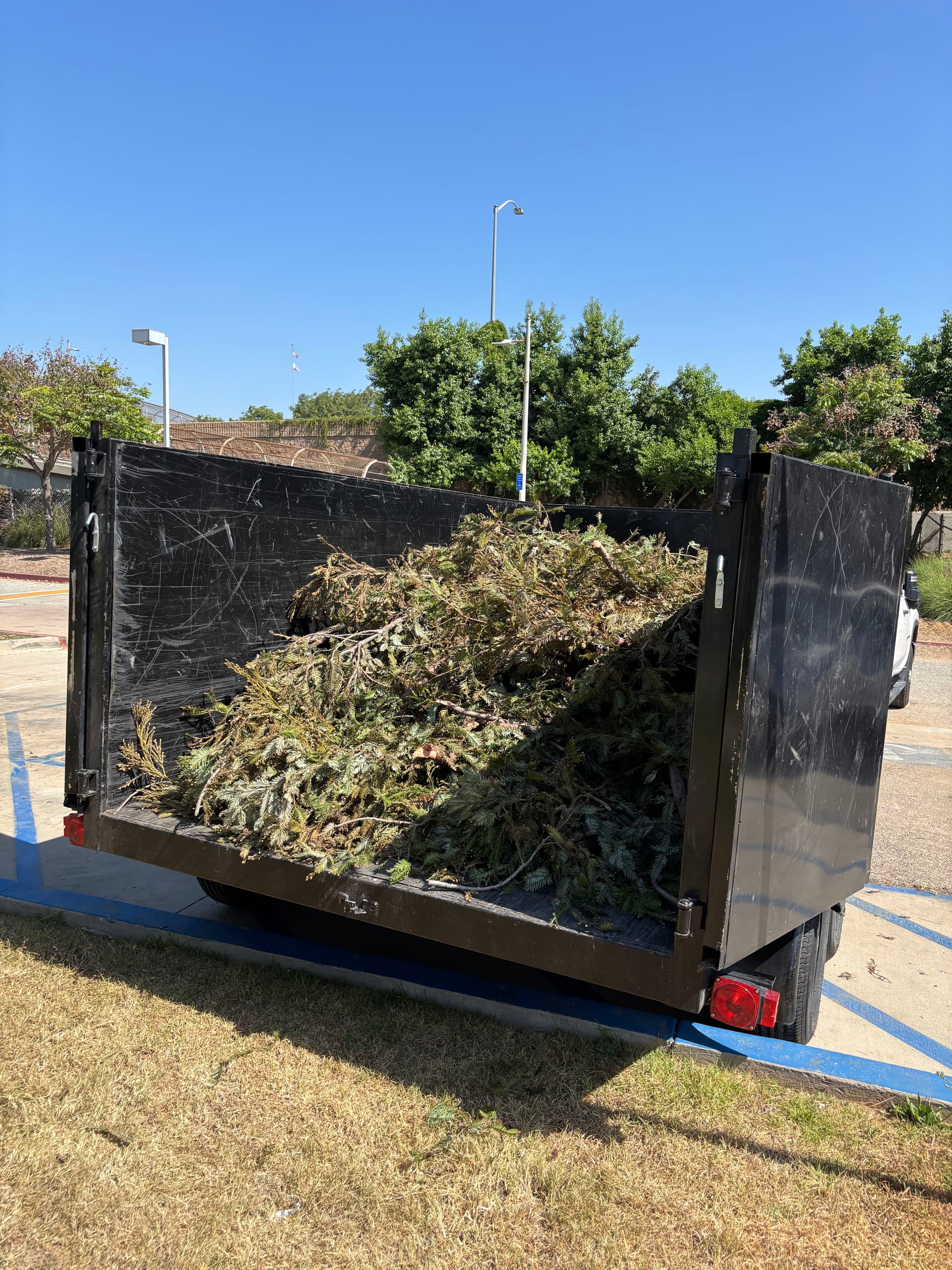 Green Waste Removal Done Right in Los Angeles image