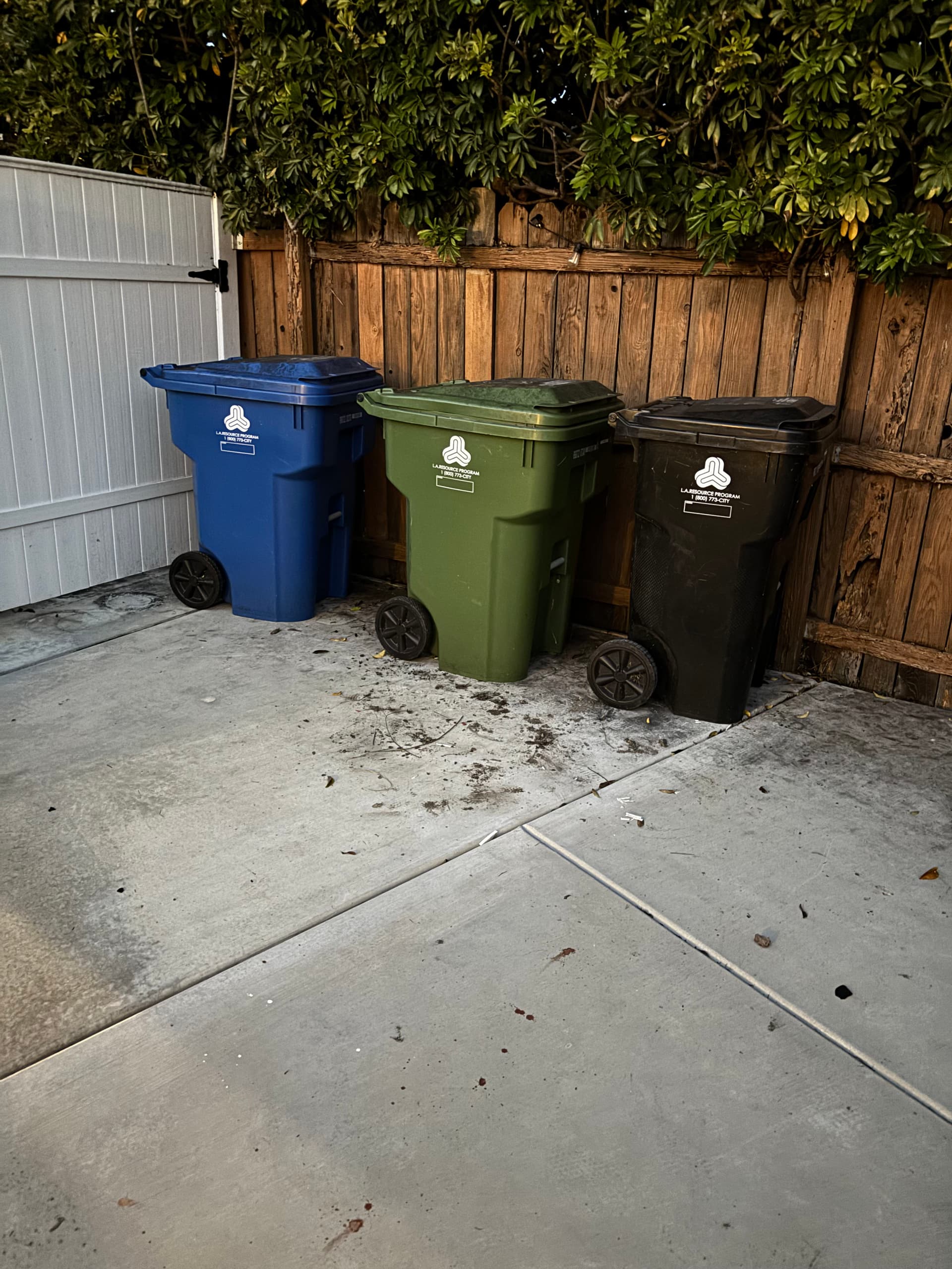 Gallery photos for Residential Clean-Out Clears Out Paint, Mattress, and More: Image #1