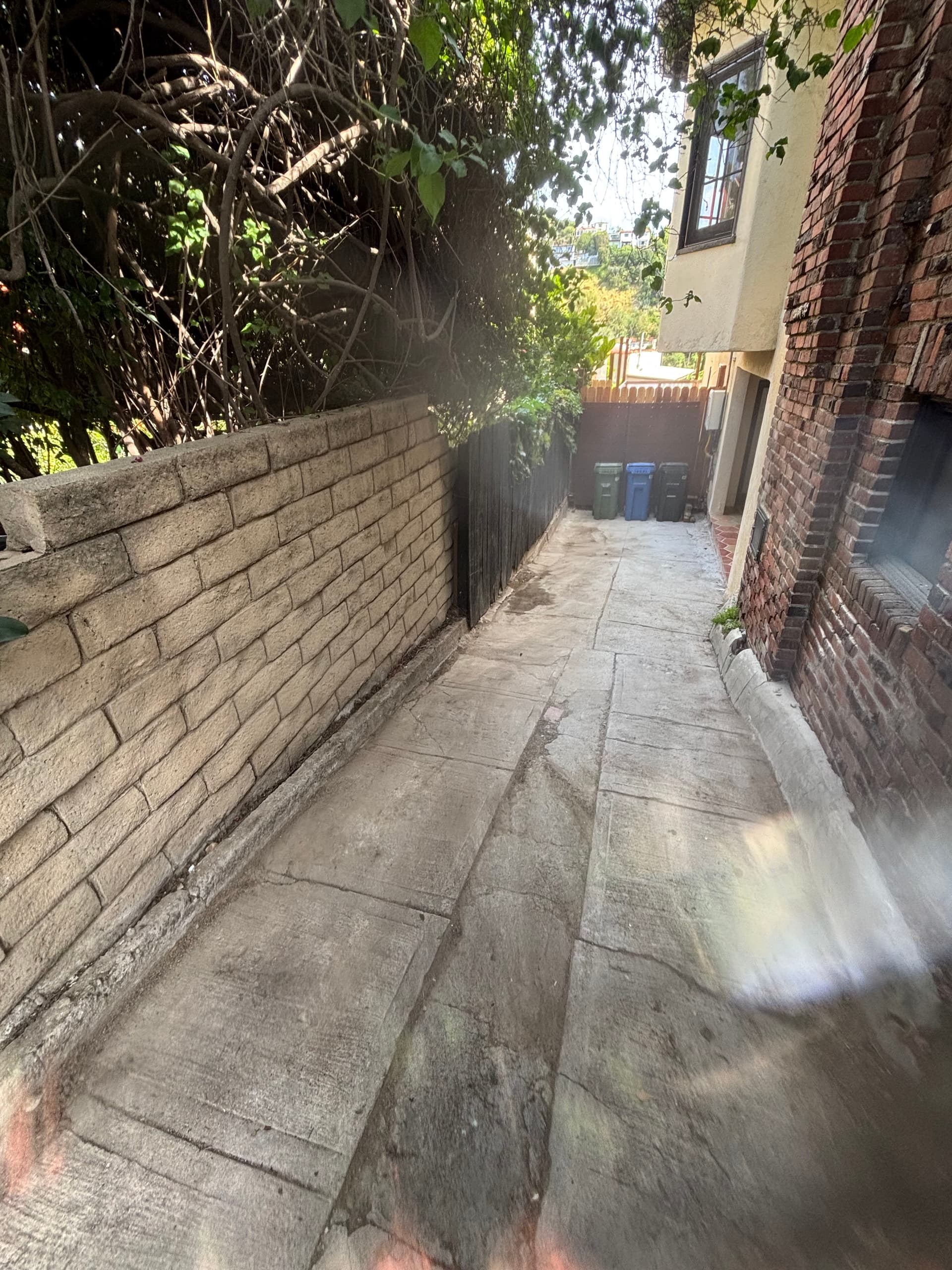 Gallery photos for Full Residential Property Cleanout in Los Angeles: Image #1